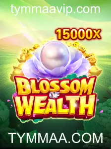 Descubra o Mundo Envolvente de BlossomofWealth na Plataforma TYMMAA.COM